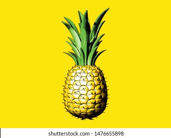 Colorful engraving drawing pineapple illustration isolated on bright yellow background