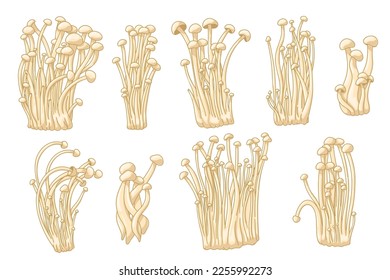 Colorful enoki collection. Vector illustration about asian mushroom. Medical gourmet asian food. Set of healthy fungus for vegetarians