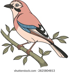 Colorful Eurasian Jay and