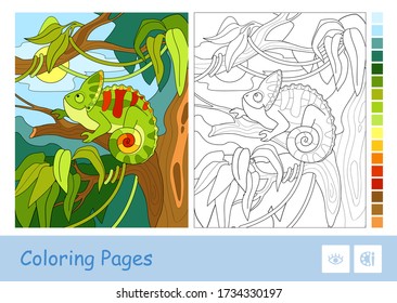 Colorful example of chameleon sitting on the branch in a rainforest and colorless vector contour image on white background. Animals-related preschool kids coloring books and developmental activity.