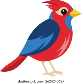 Colorful Exotic Bird Vector Illustration on White Background 