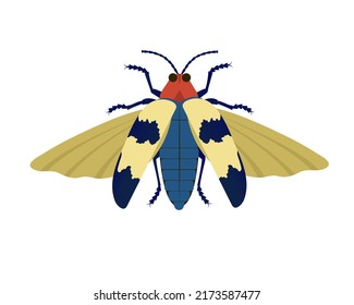 Colorful exotic bug icon in flat. Chrysochroa buqueti vector illustration.