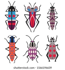 Colorful exotic bugs flat design icons. Tropical beetles with antennae and legs. Colored dotted, spotted and striped unusual insects.