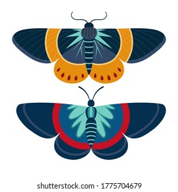 Colorful exotic butterflies on white background. Tropical moths with antennae, flying insect in flat design.