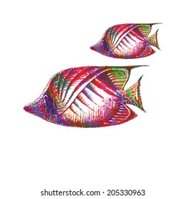 Colorful exotic fish