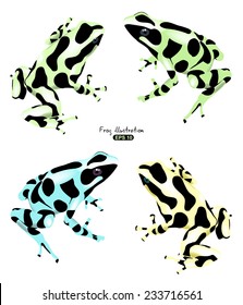 Colorful exotic frogs illustration, isolated on white background