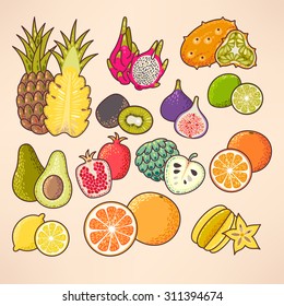 Colorful exotic fruits and slices vector set