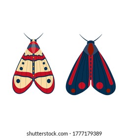 Colorful exotic moths on white background. Tropical butterflies with antennae, flying insect in flat design.