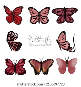 Colorful exotic watercolor butterfly, isolated on white background wild insect in a watercolor style. Vector cartoon illustration