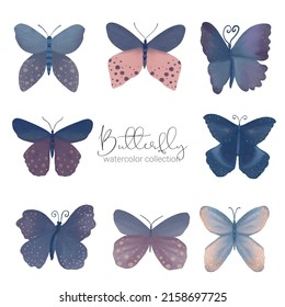 Colorful exotic watercolor butterfly, isolated on white background wild insect in a watercolor style. Vector cartoon illustration