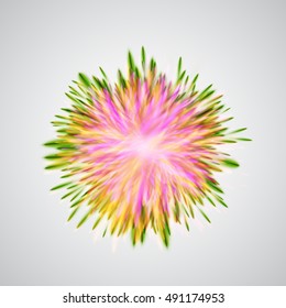 Colorful explodes/flowers, vector illustration