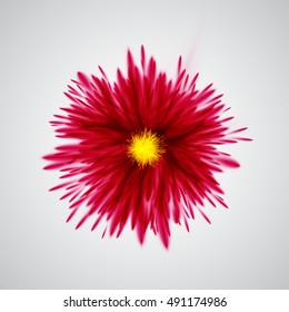 Colorful explodes/flowers, vector illustration