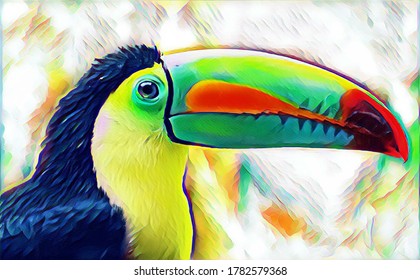 Colorful and eye-catching Toucan Bird vector art