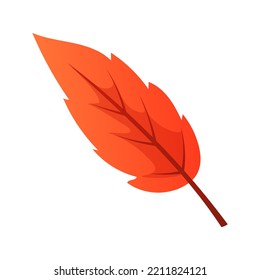 Elemento de hoja de otoño colorido aislado sobre fondo blanco. Diseño gráfico estacional de septiembre y noviembre para la decoración, adornado con color rojo y naranja de los abedules. Ilustración del vector