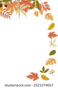 Colorful fall autumn leaves and branches frame