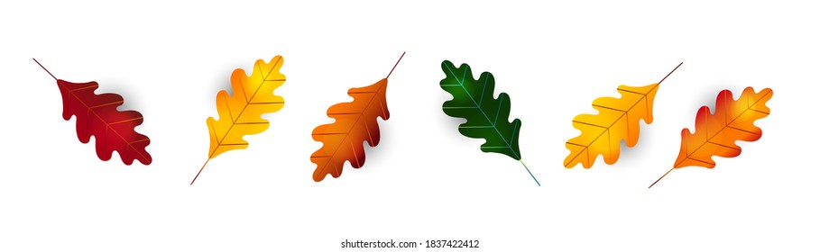 Colorful fall leaves. Detailed tree leaf foliage. November seasonal Autumn Oak Leaf vector background. Autumn leaves border elements for banner, vector illustration