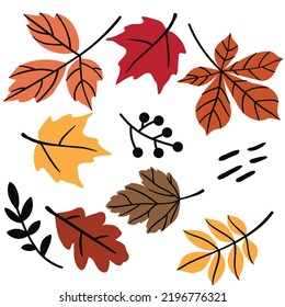 Colorful fall leaves vector cartoon illustration
