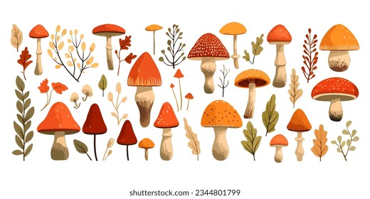 Colorful fall set of mushrooms and leaves. Autumn forest. Colored trendy illustration. Flat design. Isolated vector illustration on white background