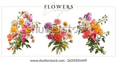 Colorful farden flowers isolated on a white background. Vintage painting style illustration.