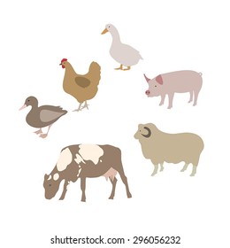 Colorful farm animal set. Vector illustration of goose, duck, chicken, cow, lamb. Animals isolated on white background. Vector farm animals set.. 