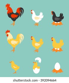 A colorful farm birds collection. Vector Illustration of Rooster, Hen, Chick and Eggs.