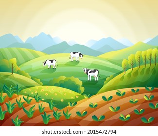 Colorful farm summer landscape, sunrise clear sky with cows on field and fields with emerging crops vector