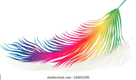 colorful feather