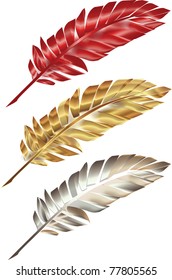 colorful  feather