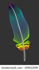 Colorful feather abstract line art vector