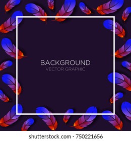 Colorful feather background for web banner template, Postcard and Invitation Card. Exotic bird feathers falling. Abstract dynamic composition. Eps10 vector illustration