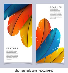 Colorful feather banners set. Beautiful bird feathers composition. Eps10 vector illustration.