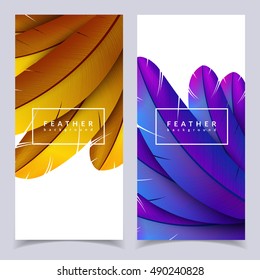 Colorful feather banners set. Exotic bird feathers composition. Eps10 vector illustration.