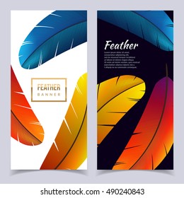 Colorful feather banners set. Exotic bird feathers composition. Eps10 vector illustration.