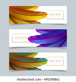 Colorful feather banners set. Exotic bird feathers composition. Eps10 vector illustration.