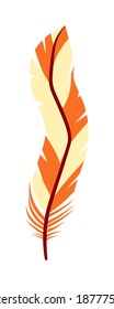 Colorful feather design element isolated on white background