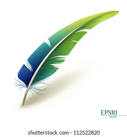 Colorful feather, eps10 vector