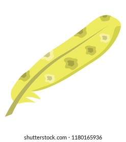 
Colorful feather having little chunks inside concept of feather design 
