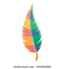 Colorful feather icon. Cartoon of colorful feather vector icon for web design isolated on white background