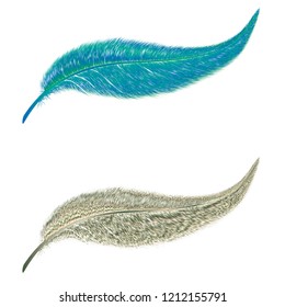 Colorful feather on white background. Beautiful feather.