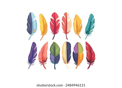 Buntes Federset für Designprojekte. Vektorillustration-Design.