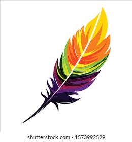 colorful feather vector illustration design   