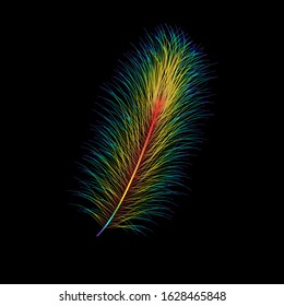 Colorful feather. Vector illustration. Rainbow background. Rainbow pattern. Painted rainbow feather on a black background.