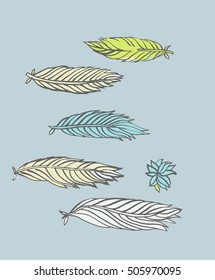 colorful feathers