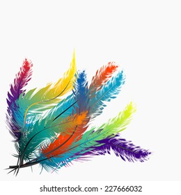 Colorful feathers background