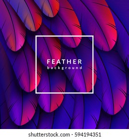 Colorful feathers background. Eps10 vector illustration.