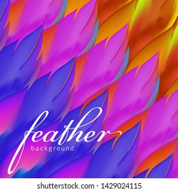 Colorful feathers background. Vector illustration 