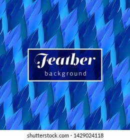 Colorful feathers background. Vector illustration 