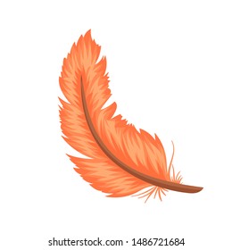 Colorful feathers. Cartoon and flat style. Vector illustration isolated on white background.