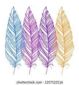 colorful feathers. decorative elements