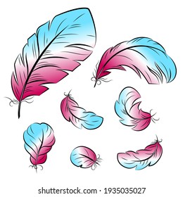 Colorful feathers of different shapes in the style of hand drawing with a beautiful gradient. Vector isolated on a white background.